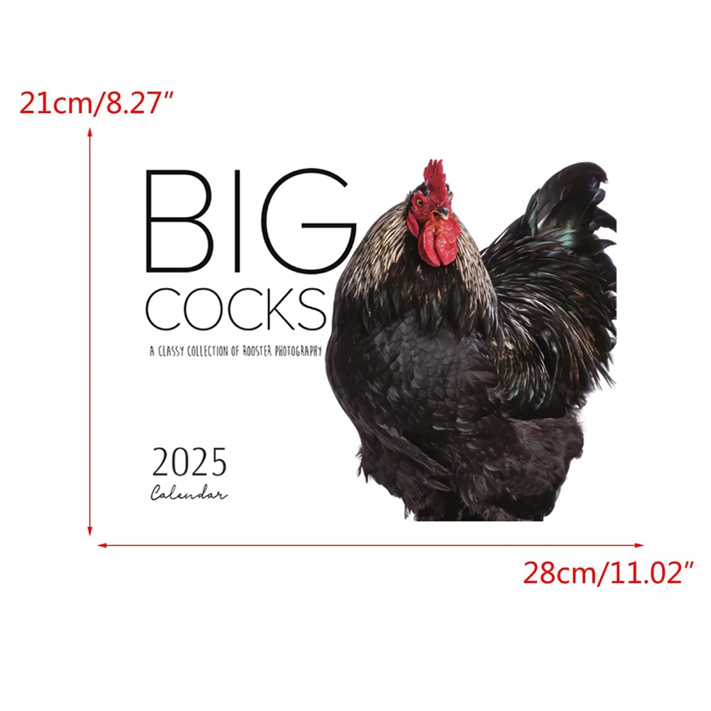 Wall calendar paper wall calendar Big Cocks Calendar Vibrant Wildlife Photography 12-Month Wall Calendar for Office & Home Decor Animal Enthusiasts Paper