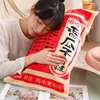 New Giant Size Simulation Chinese Bag Of Melon Seed Plush Toys Soft Soothing Pillow Mattress For Kids Family Funny Toys For Kids 4