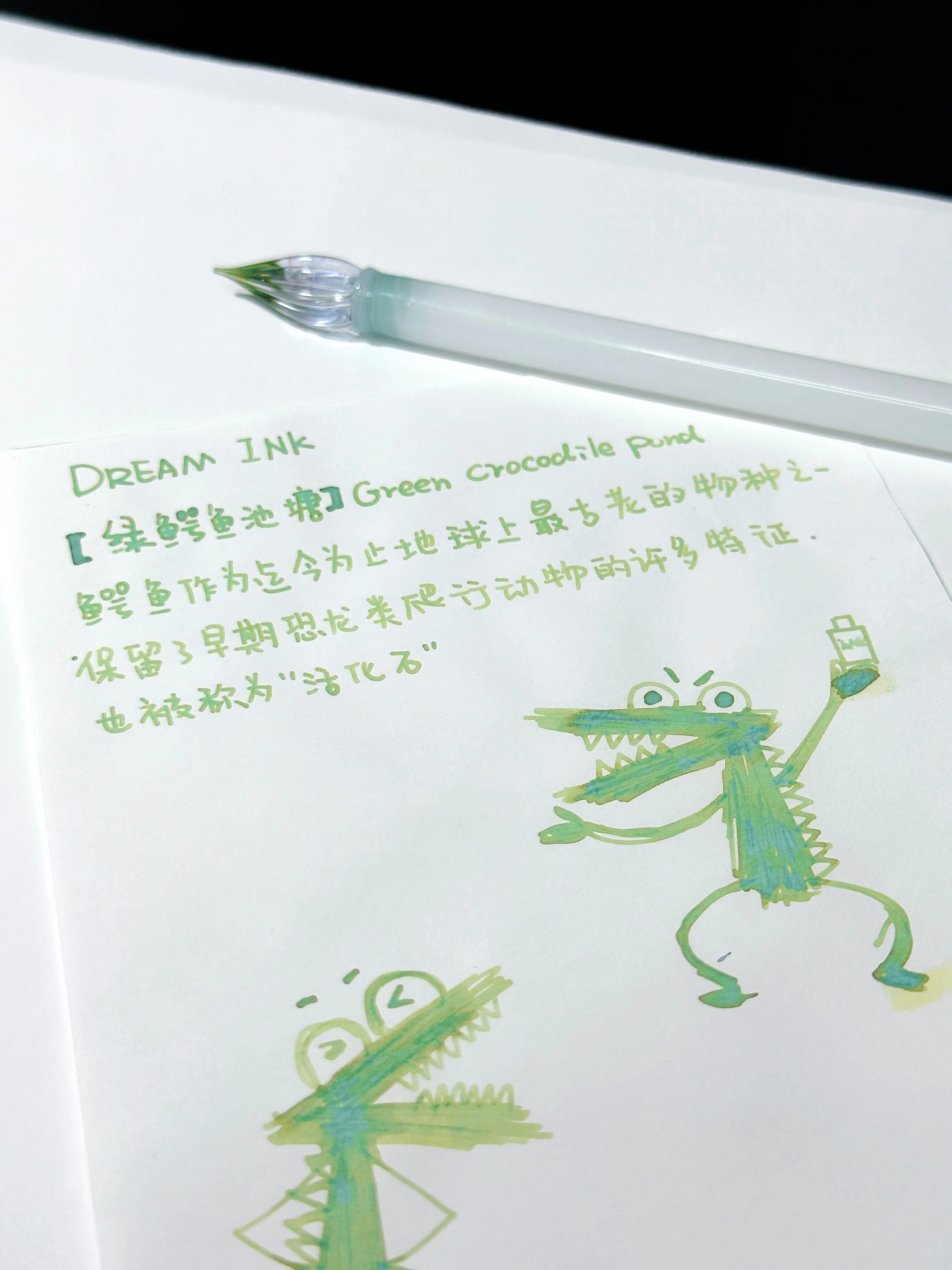 DREAMINK 그린 크로커다일 폰드 쉰 만년필 잉크 5/20ml 쉬머 서예 드로잉 잉크 사무실 학교 용품 문구