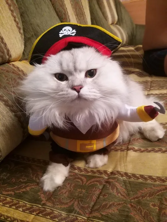 Title 9, Halloween Funny Dog Cat Costume Party Fancy Dre...