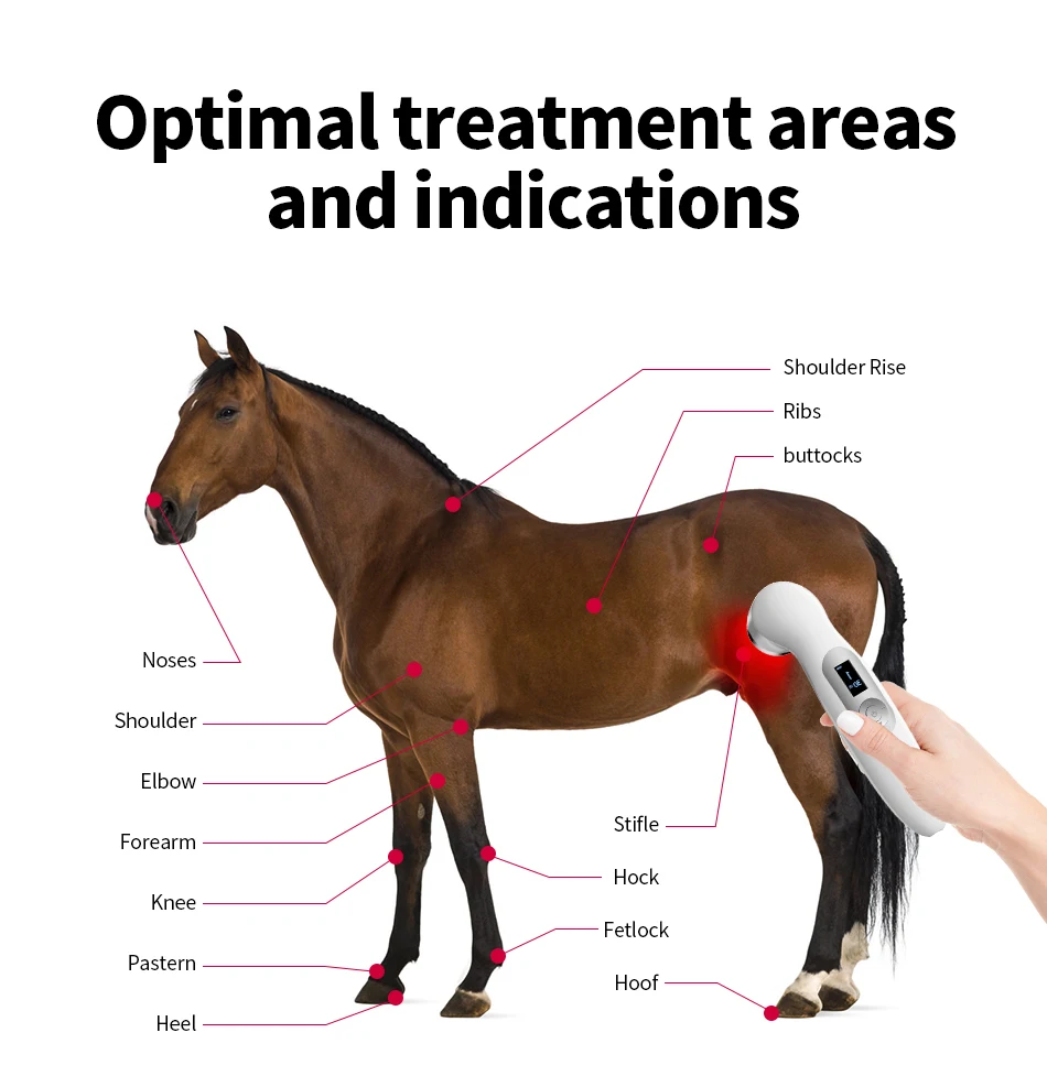 Suyzeko Lasertherapiegerät Pulsmodus Rotlichttherapiegerät für Kniegelenk Muskel Körperschmerzen Linderung Persönliche Pflege 2025 Geschenke – Detail 6