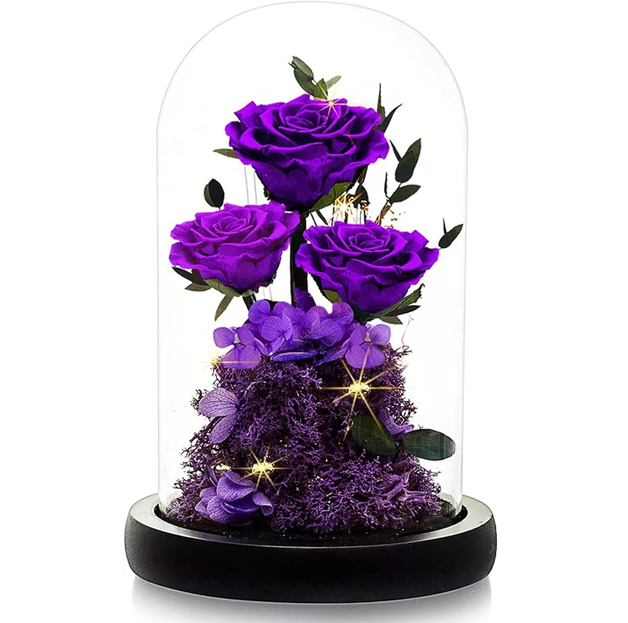 Forever Rose Rosa Eterna In Cupola Di Vetro – Vera Rosa Viola Conservata Per 3-5 Anni – Regalo Romantico Per Mamma E Lei – 22,9 Cm