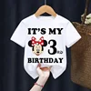 Mickey Minnie Children T-Shirt Disney Birthday Number 1-9 Boy Girl Clothes Kid Kawaii Anime Cartoon Little Baby Casual Tee Shirt 4