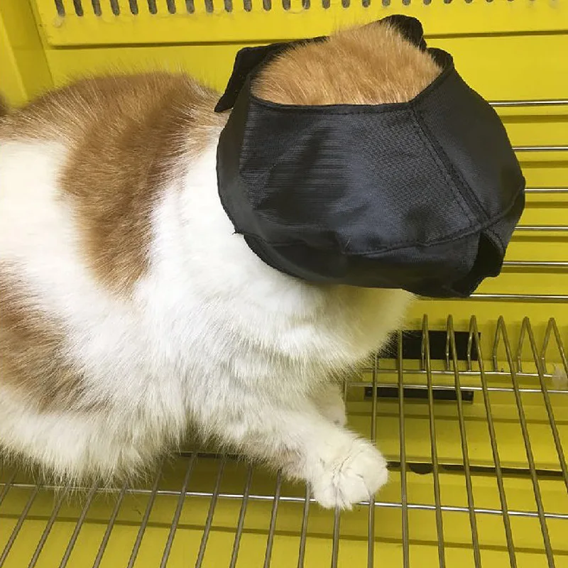 Beauty Eye Mask Cat Accessories Relieve Eye Fatigue Breathable Lightweight Senseless Skin Care Pet Products Bathing Supplies