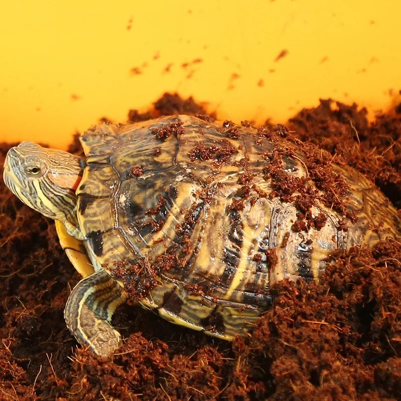 600g Reptile Coconut Soil Natural Coconut Fiber Substrate Lizard Tortoise Reptile Bedding Soil Terrarium Bottom Supplies