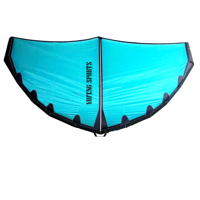 Sport Palmare Surf Ala Foil Gonfiabile Vela Aquilone 3M/4M/5M/6M Bordo Kitesurf Kitewing Double-Deck Rinforzare Kite Surf