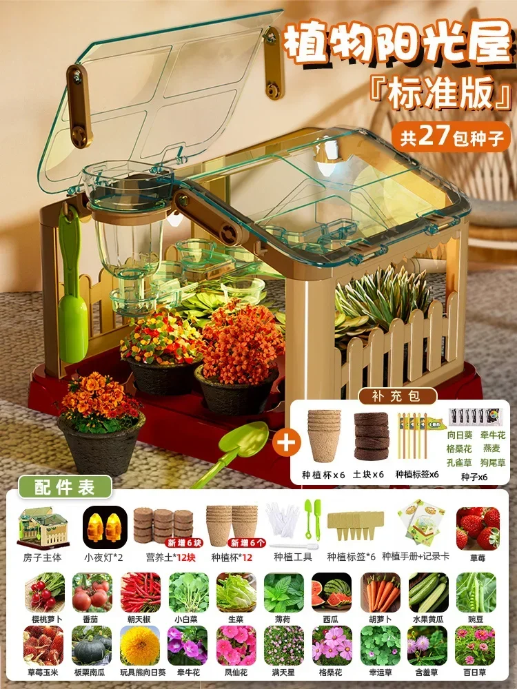 منزل زراعة أشعة الشمس للأطفال تجربة علمية صندوق مر...