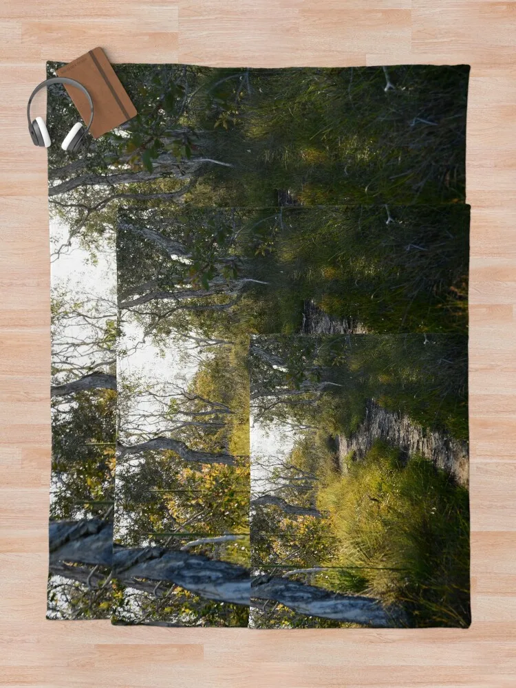 �ν� ��ŷ ���ο� ���, �Ƹ��ٿ� ��� �� ���