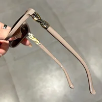 Women's Cat Eye Sunglasses Retro Butterfly Sunglasses Women's Fashion Mountaineering Sunglasses - Image 5