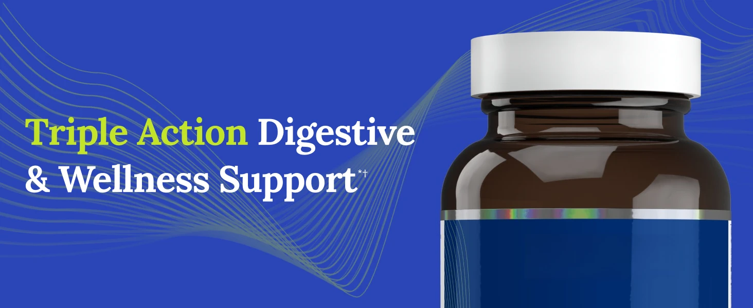 gut health blend digestion microbiome