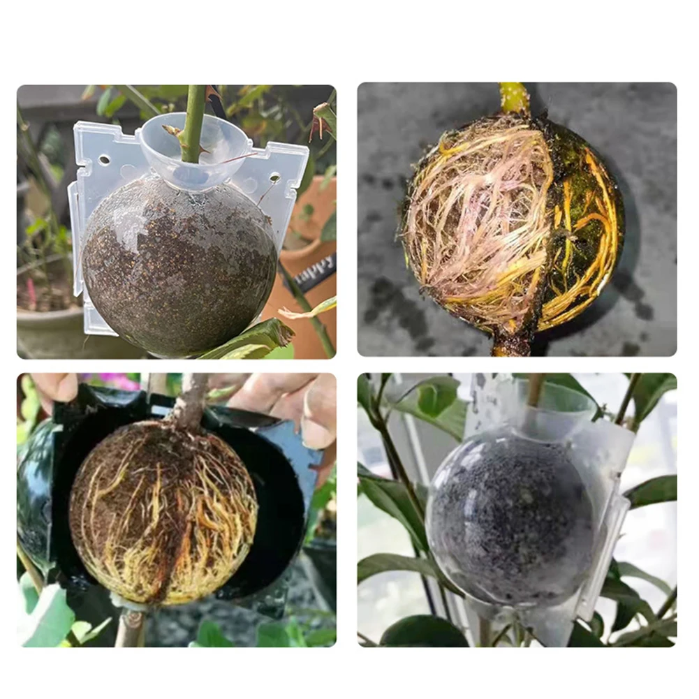 Plant Rooting Ball Incubator High Pressure Incubator Grafted Tree Rooting Seedling Cultivation
