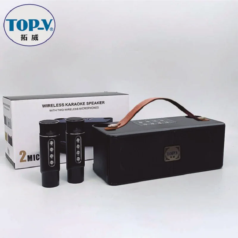 Portable karaoke Bluetooth audio with two microphones