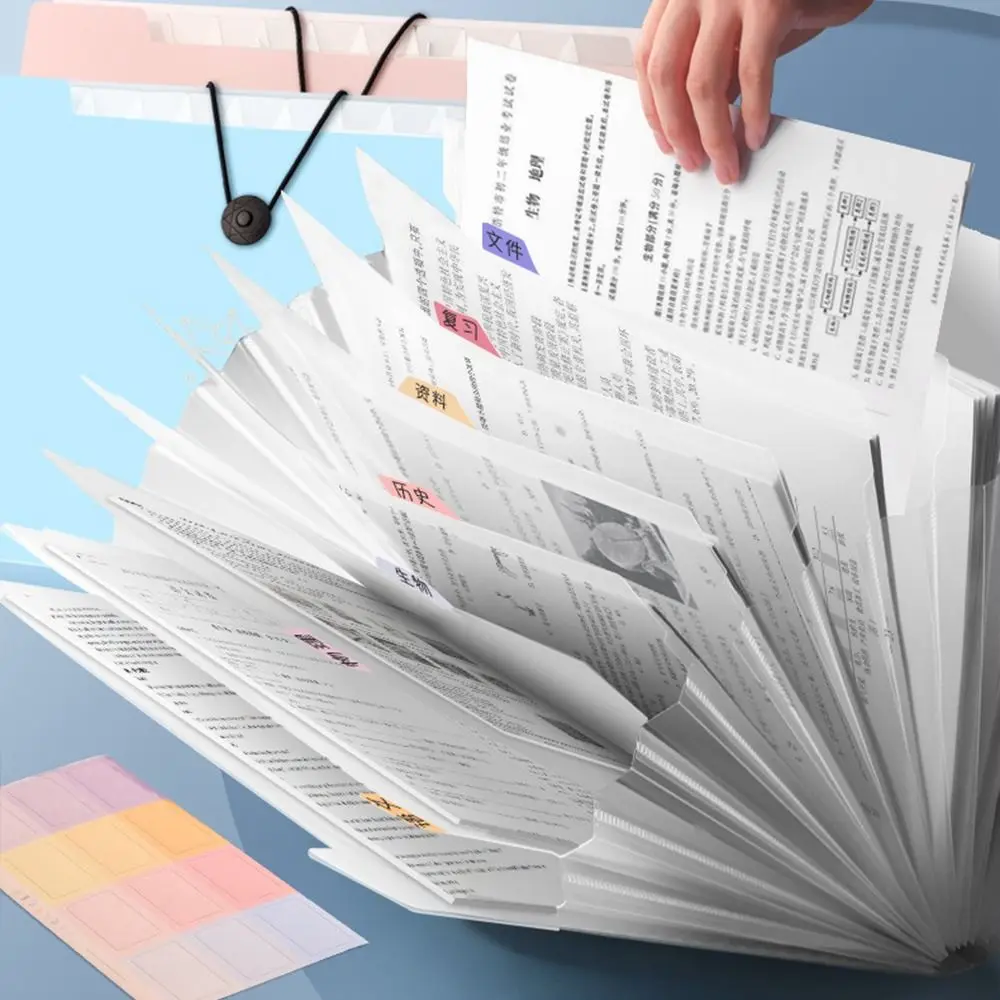 Cartella espandibile multistrato Borsa per organo A4 Cartella di file A4 traslucida ad alta capacità Contatto dell'organizzatore di file Little Bear - immagine 2