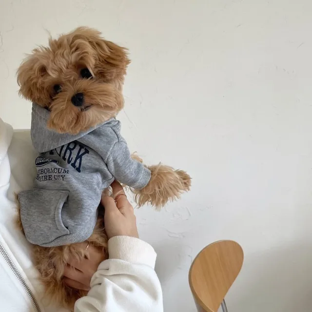 S31ebd065fa6341a59ad70fb1fa2dd626B.jpg Autumn and Winter Pet Sweatshirts Warm Clothes for Dogs Teddy Letter Print Hoodies Bichon Frise Fleece Two-Legged Clothes