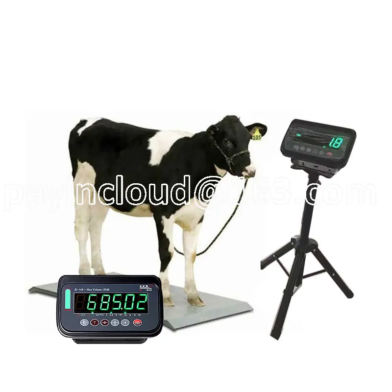 LED Waterproof Price Computing Scale Digital Commercial Food Meat Produce Weight  Scale for Farmers Market Seafood Rechargeable - AliExpress