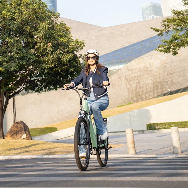 Urban Electric Bike V80 1000W 48V 13AH 7 speed Aluminum alloy 26 inches Removable battery Maximum speed 45km/h Family E-bike