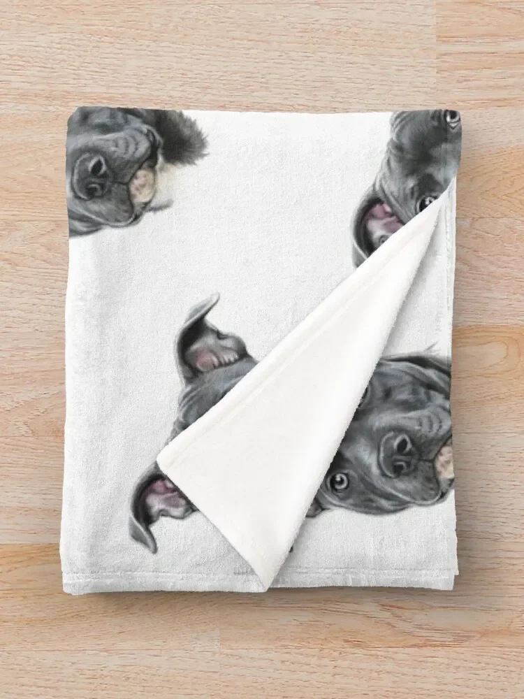 �Ķ��� ������ ������ ��� ��� ����, ���� �ʴ��� ������ ���