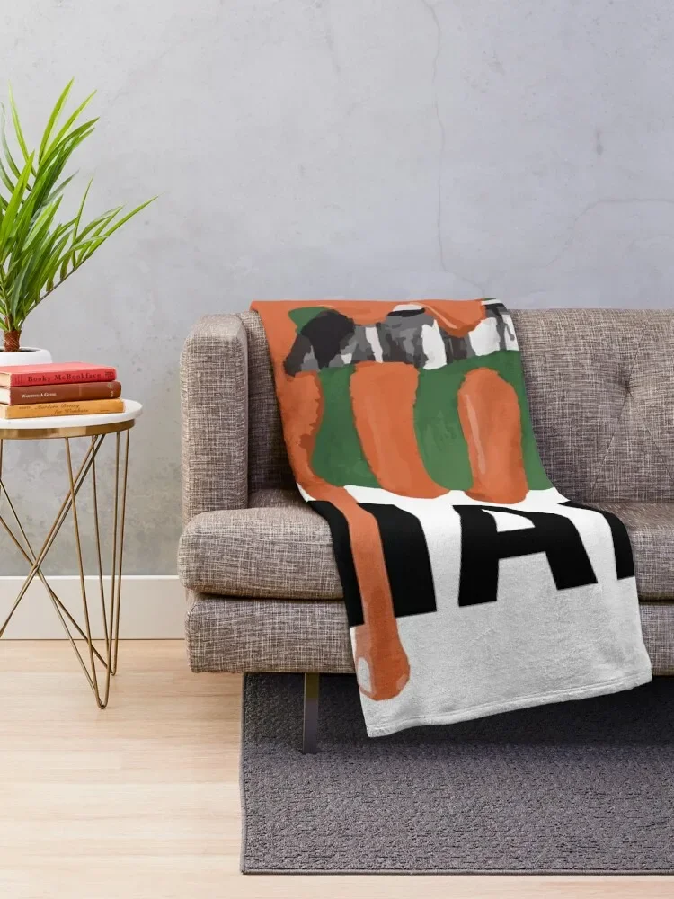 ���ֹ̾� ��ǥ�� �Լ� ������ ���, ��Ƽ�� �̺�, ��� �ε巴�� ū ���� ���