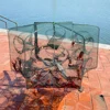 Folded Fishing Bait Trap, 6/8/12/16/20 Holes Foldable Fishing Nets for Fish/Crab/Shrimp/Crawdad Catcher Upgrade Large Space Gift 4