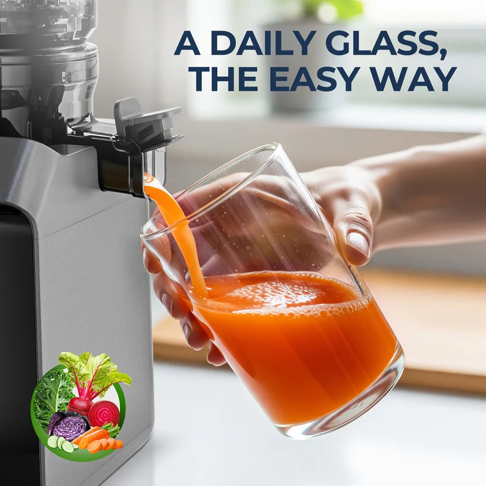ROUNY Slow Juicer, Cold Press Extractor Filter-Free, Easy Clean Electric Fruit Juicer Machine With Large Caliber, Black_voghion.com