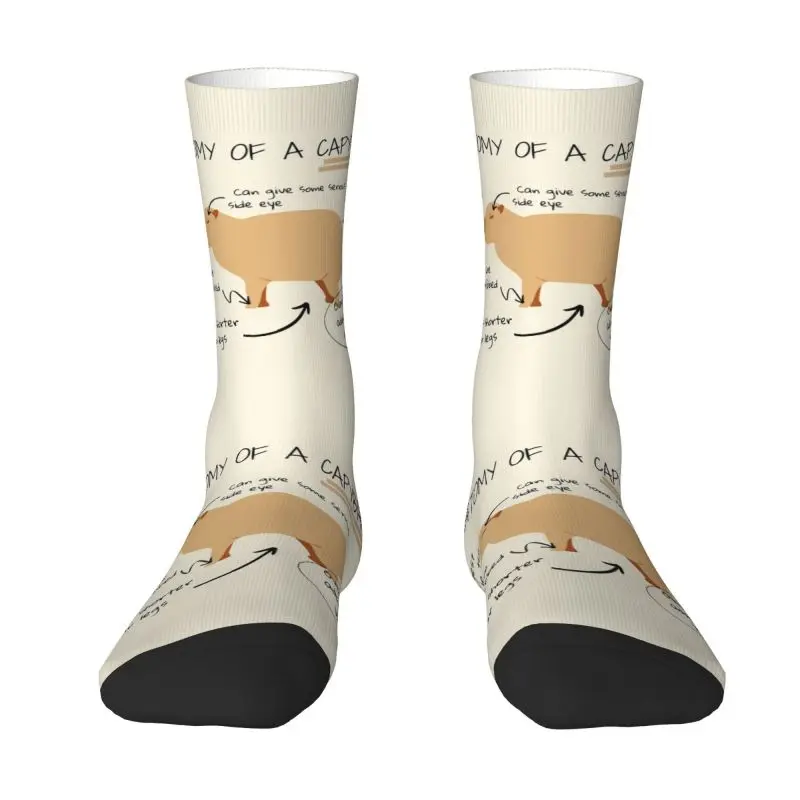 

Funny Print Anatomy Of A Capybara Socks for Men Women Stretchy Summer Autumn Winter Crew Socks