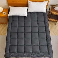 152x203cm 160x200cm 180x200cm Quilted Mattress Pad with Lacing 3