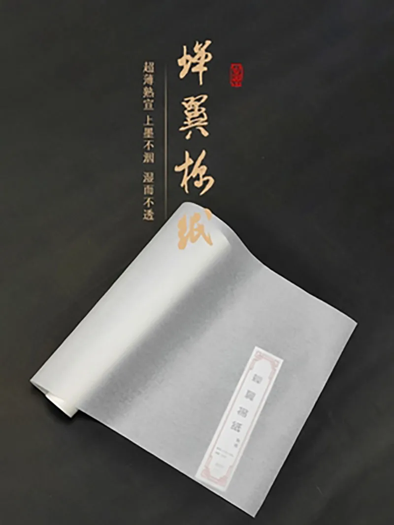 

Cicada Wing Xuan Paper Ripe Rice Paper Heart Sutra Small Regular Script Brush Calligraphy Practice Gong Bi Painting