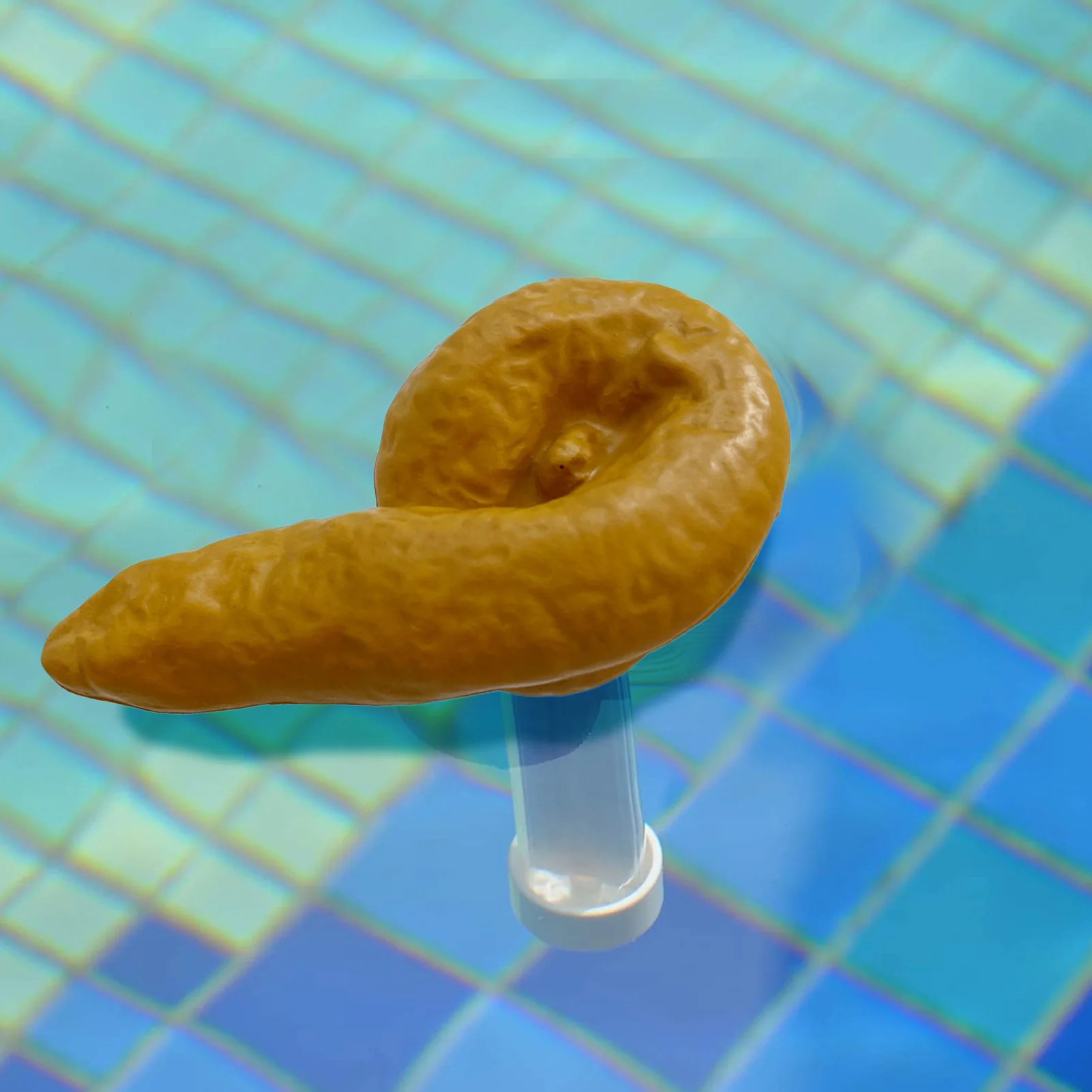 Thermomètre pour piscine flottante, température de l'eau en forme de merde,  pour extérieur et intérieur - AliExpress