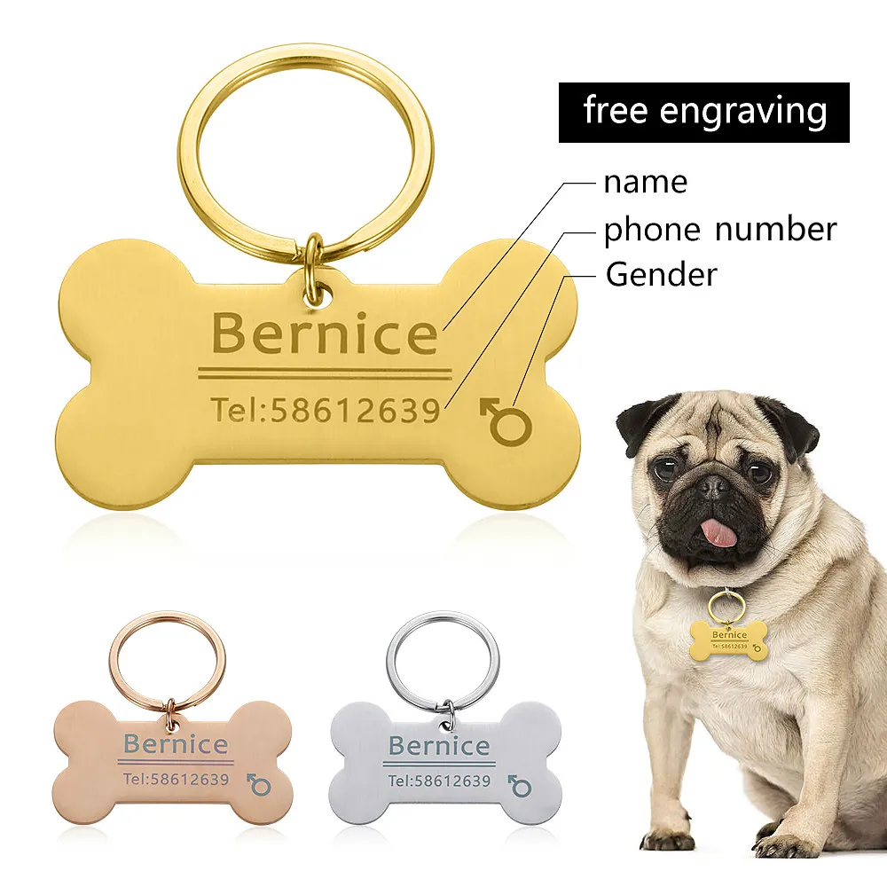Personalized Engraved Cat Dog Pet Id 
