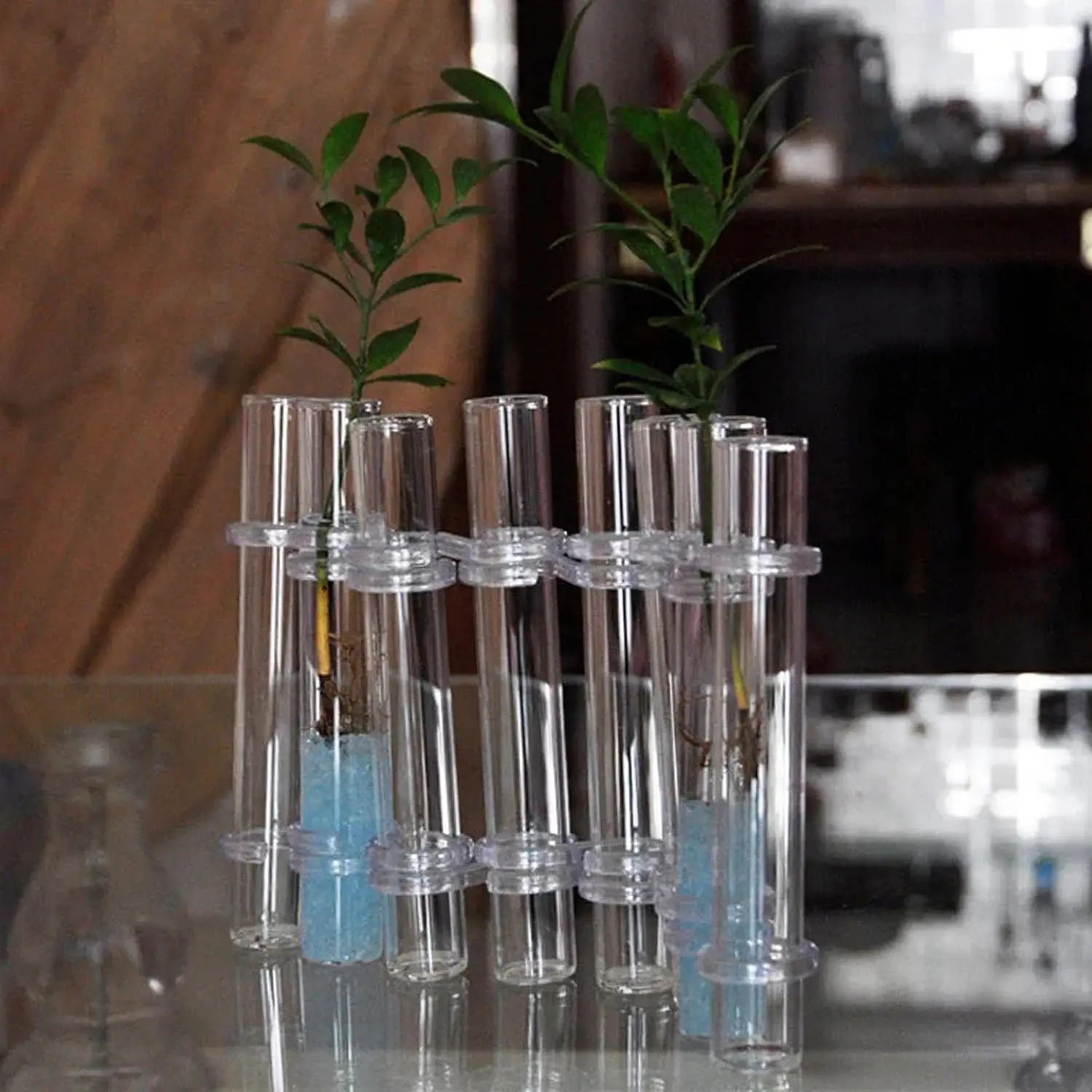 Hinged Flower Vase,8Pcs/6Pcs Test Tube Vase, Transparent Glass Test Tube Vase  Plant Display Stand With Hook And Brush Suitable F - AliExpress