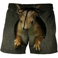Funny Animal Squirrel Graphic Short Pants Summer Fashion  Cute Pet 3D Printed Beach Shorts For Men Casual Trunks Gym Trousers 2