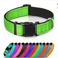 Light Green collar