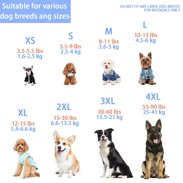 Sun Protection Dog Shirts with Reflective Strips, Quick Dry, Soft Stretchy Fabric, Available in Sizes for Small to Large Dogs! 2