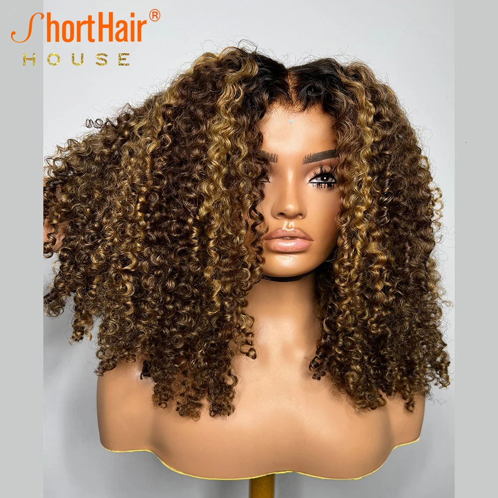 Wear And Go Glueless Wigs Luxury Curly Human Hair Wigs 13x4 Transparent Lace Frontal 4x4 PreCut Lace Closure Highlight