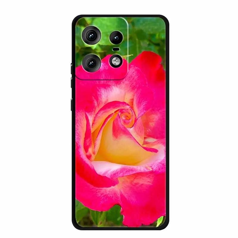 Charming Cat Design Soft TPU Silicone Phone Case - Painted Back Cover for Motorola Moto Edge 50 Pro 5G 2024