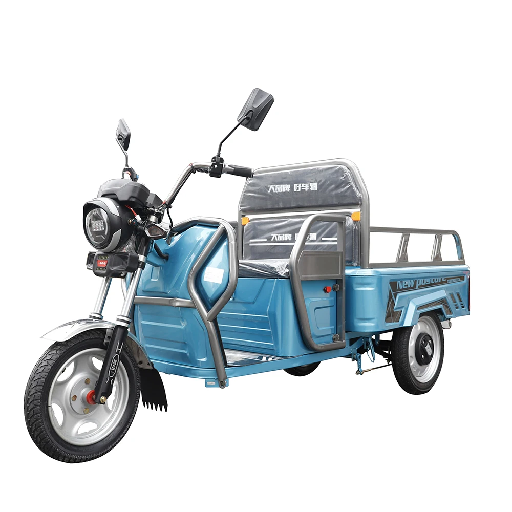 Small Electric Cargo Tricycle Customize Color Adult Transport
