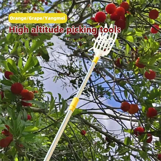 1Pc High-altitude Plastic Fruit Picking Tool Garden Orchard Field Basket Fruit Picker Head Apple Pear Peach Lemon Fruits Picking 6
