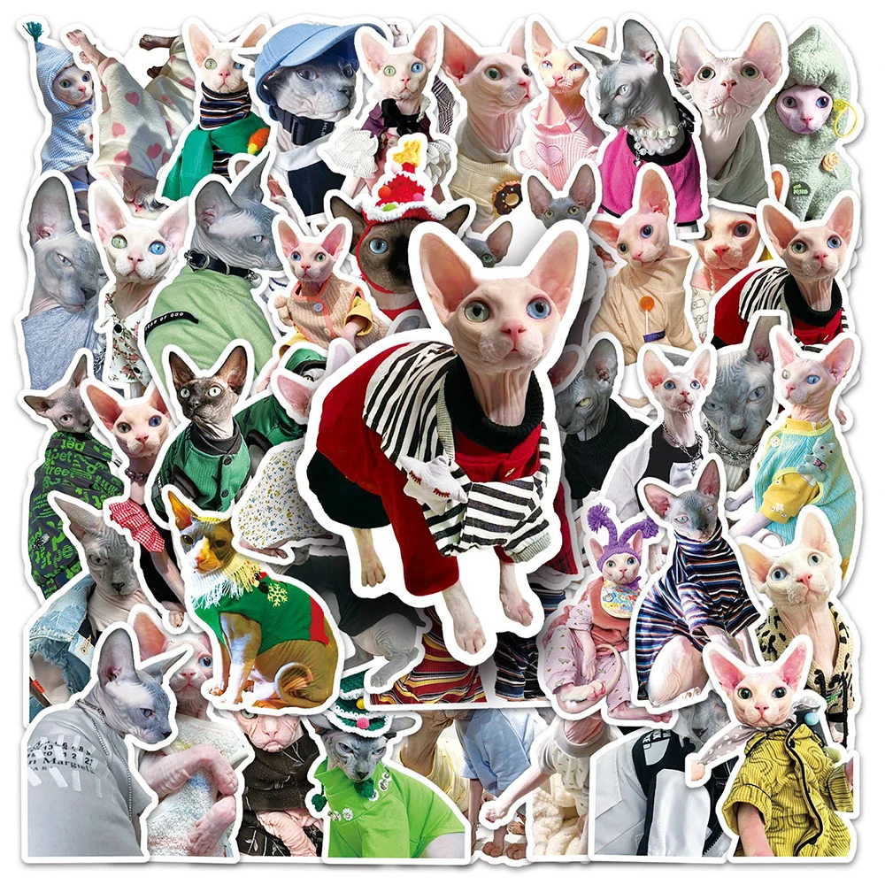 

10/30/50pcs Kawaii Sphinx Canadian Hairless Cat Sticker for Laptop Diary Water Bottle Phone Kid Animal Cartoon Toy Decal Sticker