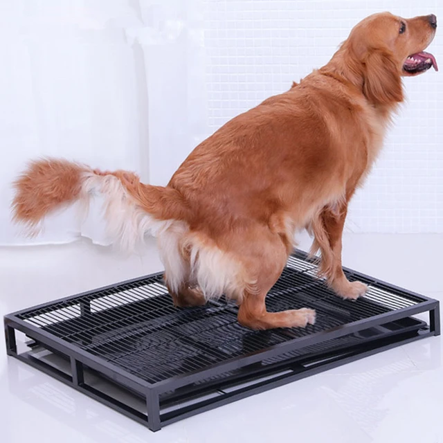 DogToilet toilette per cani da interno scatole per lettiera in acciaio  inossidabile per cani di grossa