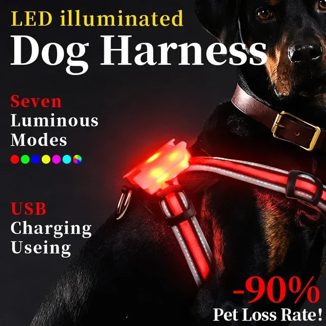 Adjustable LED Dog Harness, Rechargeable, Flashing, Waterproof, Night Anti-Lost, Light Harness, Luminous Dog Collar 2