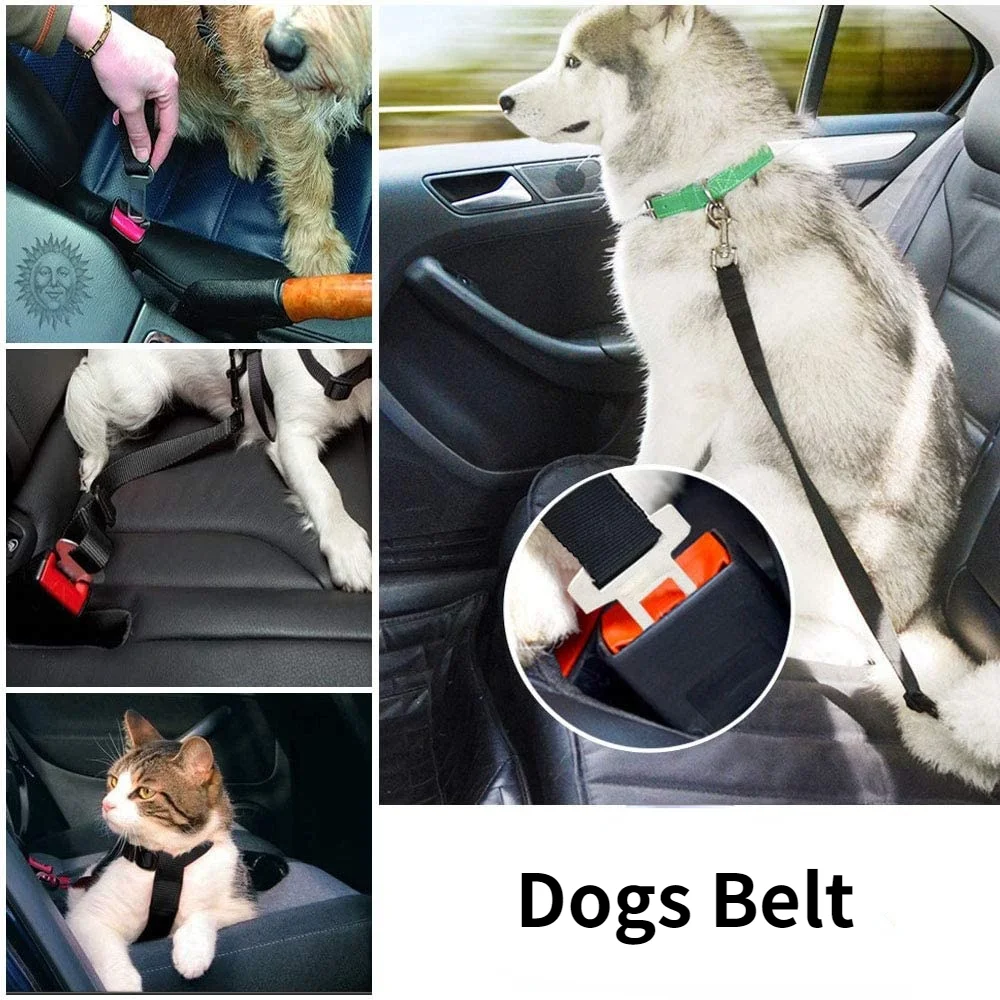 Adjustable Dog Car Seat Belt 3