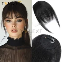 Franges en cheveux humains à clipser, cheveux raides, pièce de cheveux, franges françaises Remy pour femmes, faciles à porter et à enlever, postiche pour cheveux fins 1
