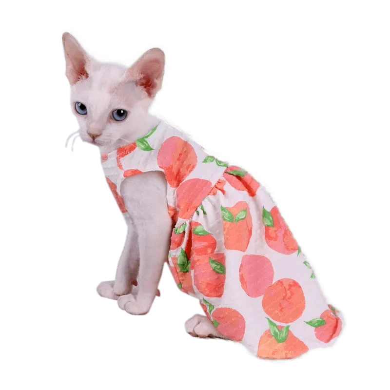 

Sphinx Hairless Cat Clothes for Devon Rex Kitten Dress Sleeveless Puff Spring Summer Costume for Sphynx Cat Clothing