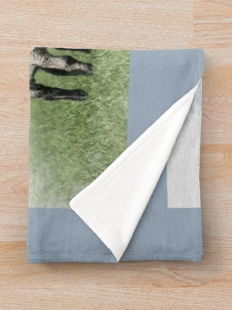 �� �� �ֵ��� �� ������ ���, ���Ŀ� ǫ���� ���� ��� ���, ��äȭ ȿ�� ����