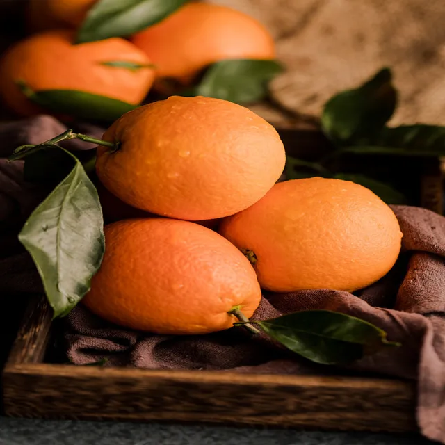 1000 G Fejlett Tápanyagok Hidroponikus Szerves Műtrágya Edta Humic Fulvinsav Ásványi Forrás Káliumfulvate - Image 6