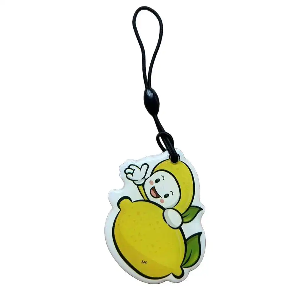 13.56MHz UID IC Rewritable Waterproof Keyfobs NFC RFID Tag Card Changeable S50 Access Control