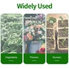Garden Vegetable Insect Protection Net Plant Flower Fruit Care Cover Network Greenhouse Pest Control Anti-bird Mesh Net 6