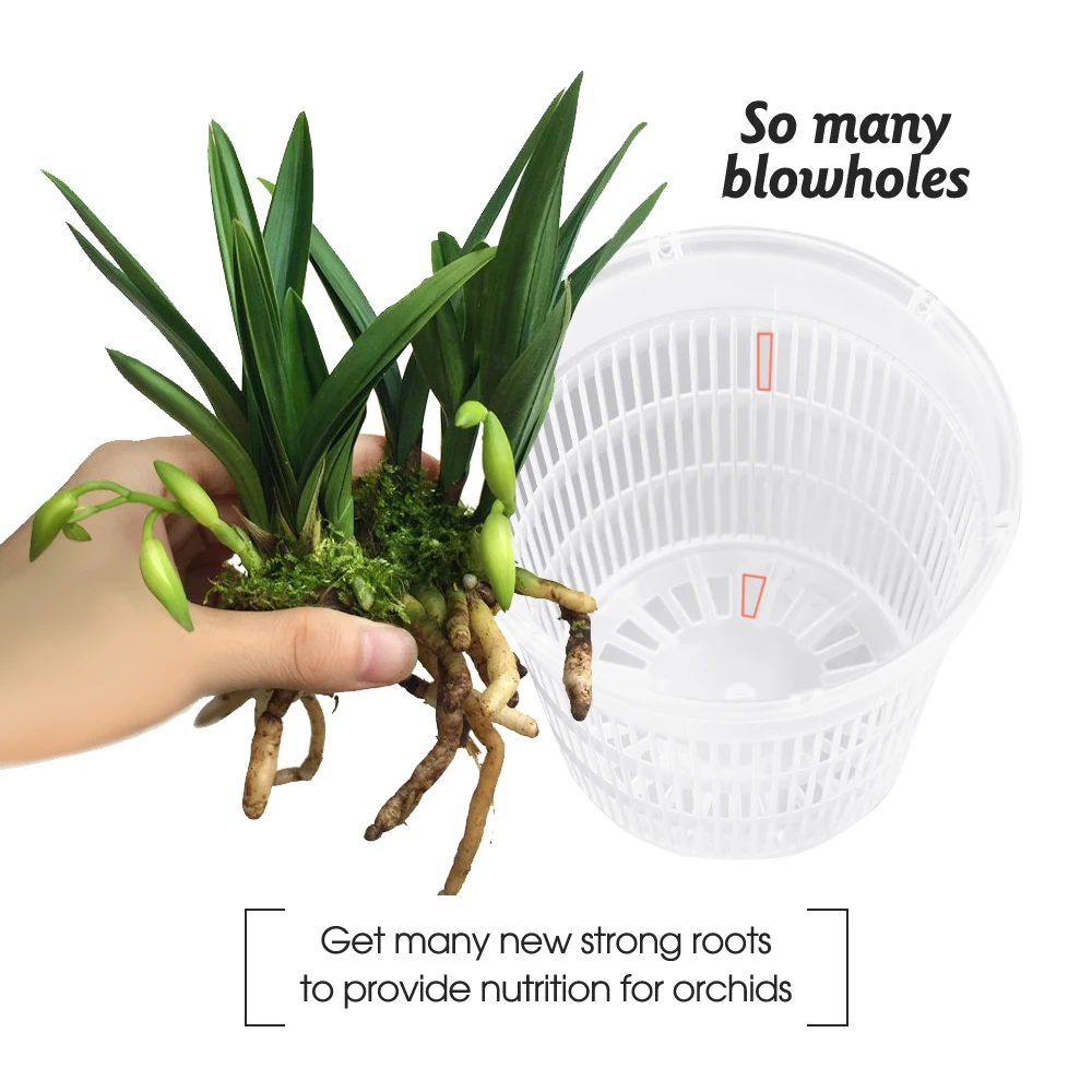 Clear Plastic Orchid Pots with Holes Breathable Slotted Planter for Home Decoration Garden Flower Basket Indoor Outdoor 5-20PCS flower pot,hydroponic flower pot,flowerpot gasket,plant pot