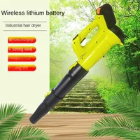 Lithium Battery Electric Leaf Blower Snow Blower Rechargeable High Power Industrial Garden Violent Hair Dryer송풍기 제설기 대포송풍기무선 송풍기 2