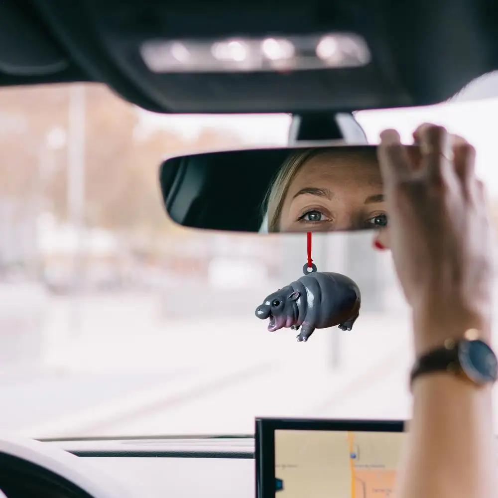 Description Picture 2 of item9cm Cute Moo Deng Hippo Pendant Backpack Keychain Pendants Car Rearview Mirrors Charm Resin Decorative Ornaments for Home Decor